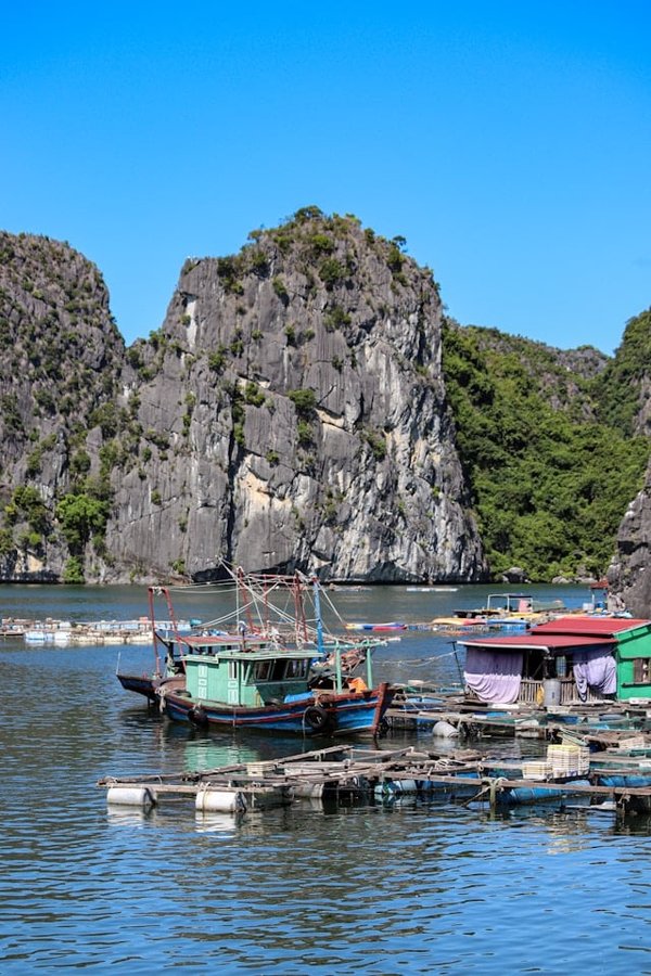 Comment découvrir les traditions de la laine en Islande : fermes et ateliers ?