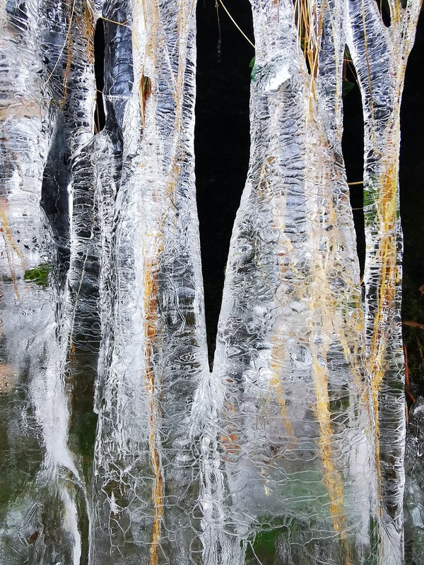 Quels sont les avantages du camping d'hiver par rapport à l'été pour les débutants ?